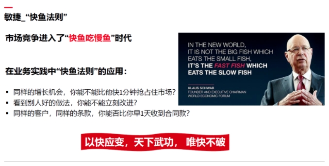 敏捷管理 :以快应变,天下武功,唯快不破