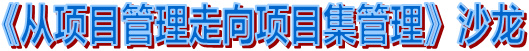 《从项目管理走向项目集管理》沙龙